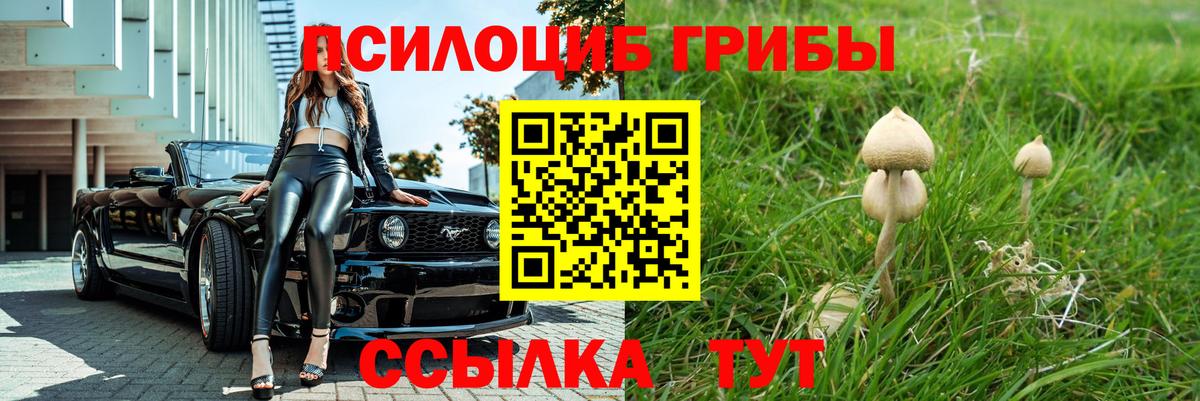 Галлюциногенные грибы Cubensis Обнинск