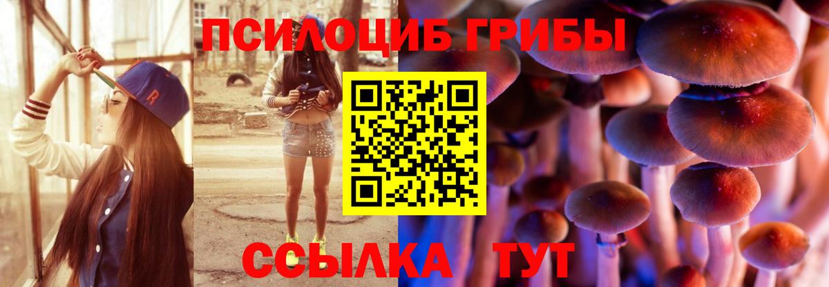 Галлюциногенные грибы Magic Shrooms  Вход с VPN  Обнинск  Галлюциногенные грибы Magic Shrooms 